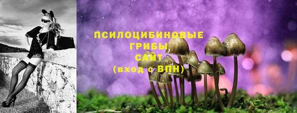 соль курить ск Богданович