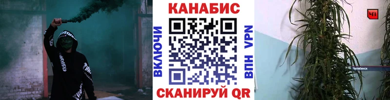 цены   Чекалин  МАРИХУАНА планчик 